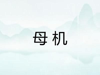 母机