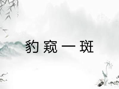 豹窥一斑
