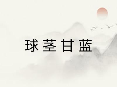 球茎甘蓝