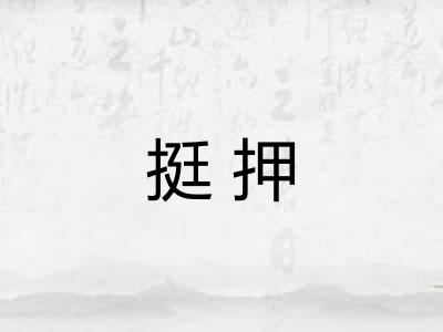 挺押