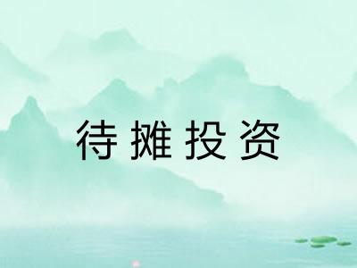 待摊投资