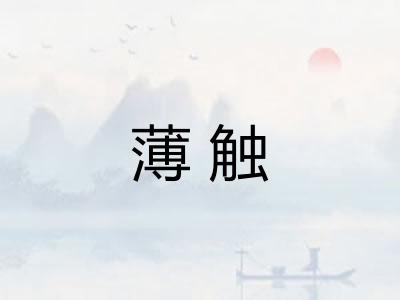 薄触