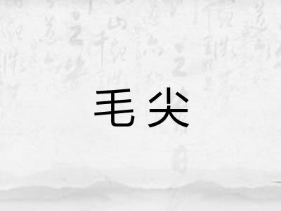 毛尖