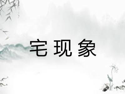 宅现象
