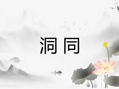 洞同