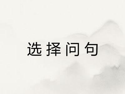 选择问句
