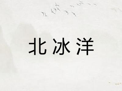 北冰洋