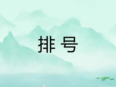 排号