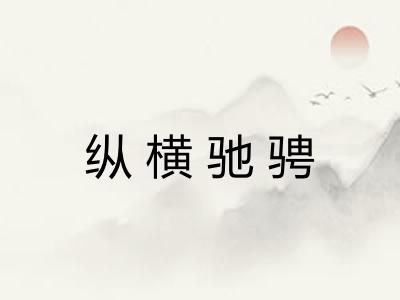 纵横驰骋