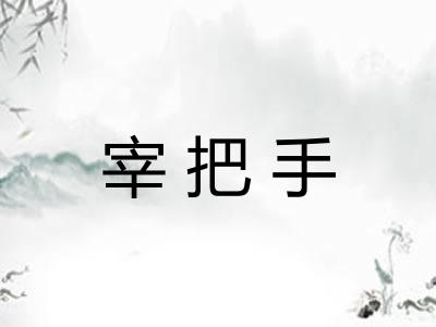 宰把手