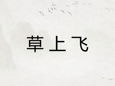 草上飞