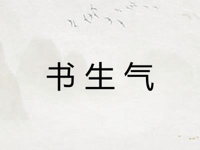 书生气