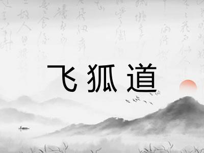 飞狐道