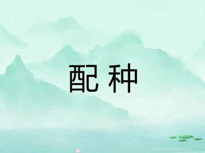 配种