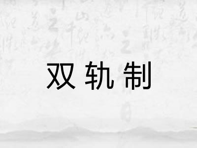 双轨制