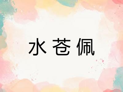 水苍佩