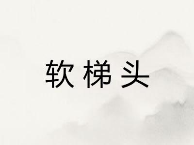 软梯头