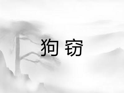 狗窃