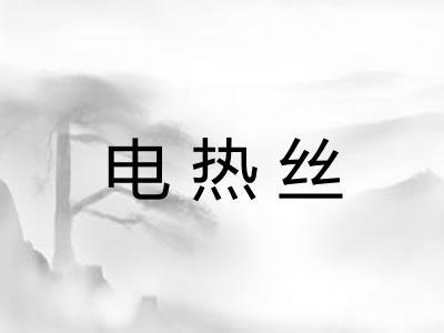 电热丝