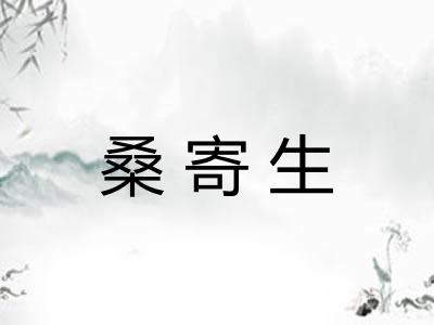 桑寄生