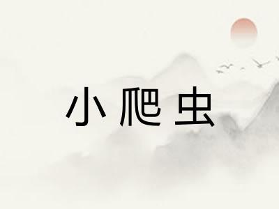 小爬虫