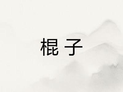 棍子