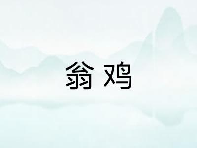 翁鸡