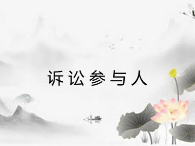 诉讼参与人
