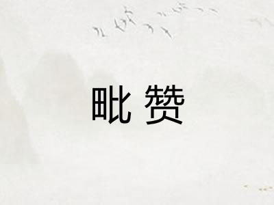 毗赞
