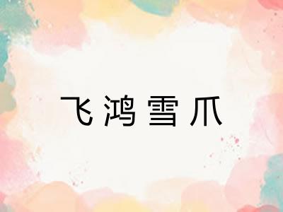 飞鸿雪爪