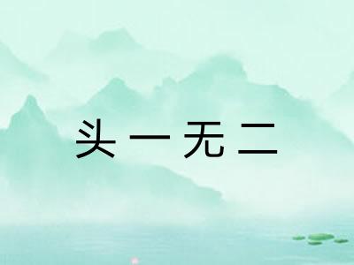 头一无二