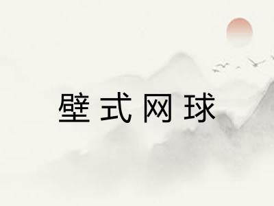 壁式网球