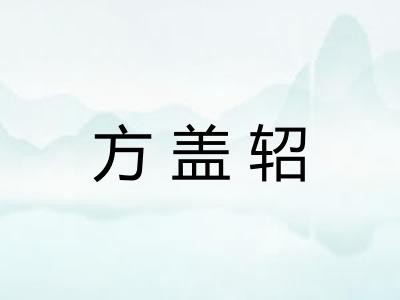 方盖轺