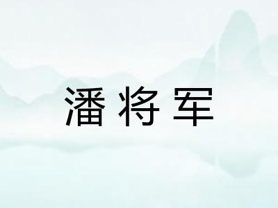 潘将军