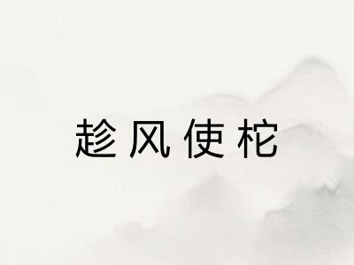 趁风使柁