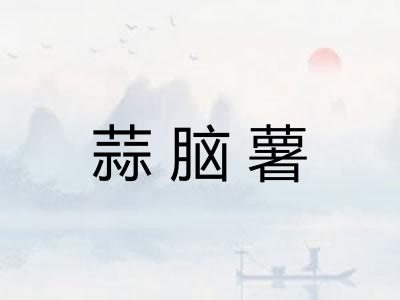 蒜脑薯