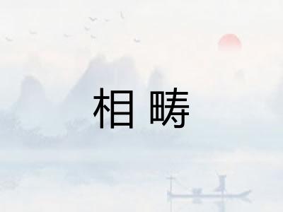 相畴