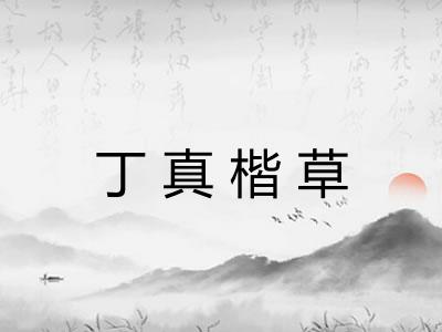丁真楷草