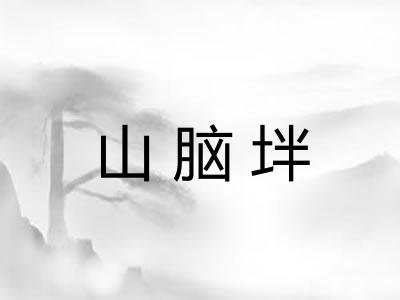 山脑坢