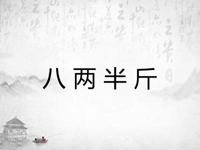 八两半斤