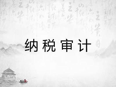 纳税审计