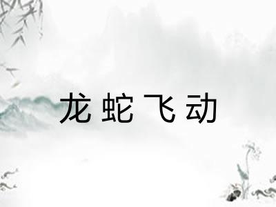 龙蛇飞动