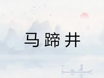 马蹄井