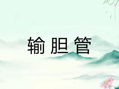输胆管