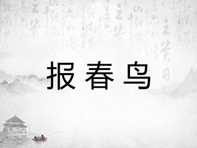 报春鸟