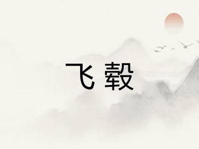 飞毂