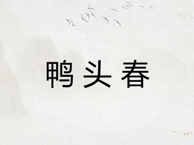 鸭头春