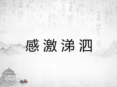感激涕泗