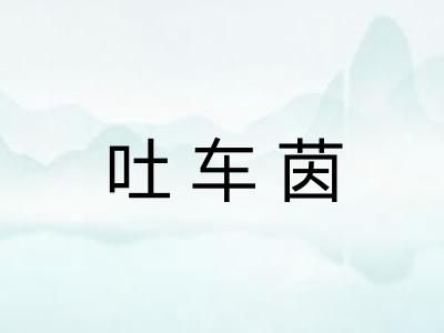 吐车茵