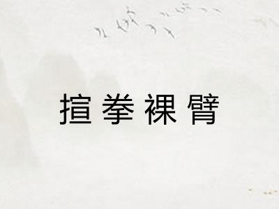 揎拳裸臂